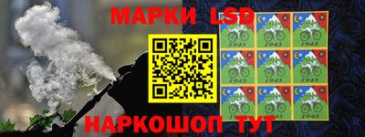 шишки Бузулук