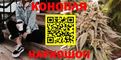 шишки Бузулук