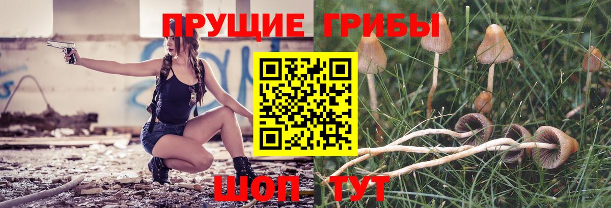 Рузаевка  Псилоцибиновые грибы Magic Shrooms  Вход с VPN 
